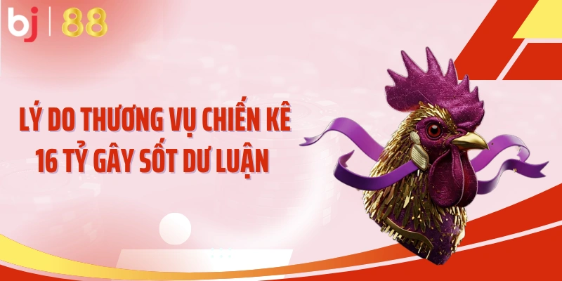 Lý do thương vụ chiến kê 16 tỷ gây sốt dư luận